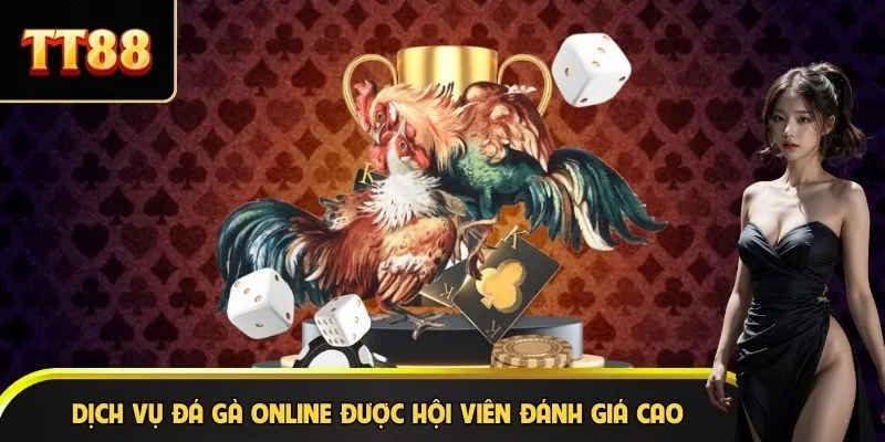 Dịch vụ đá gà online được hội viên đánh giá cao